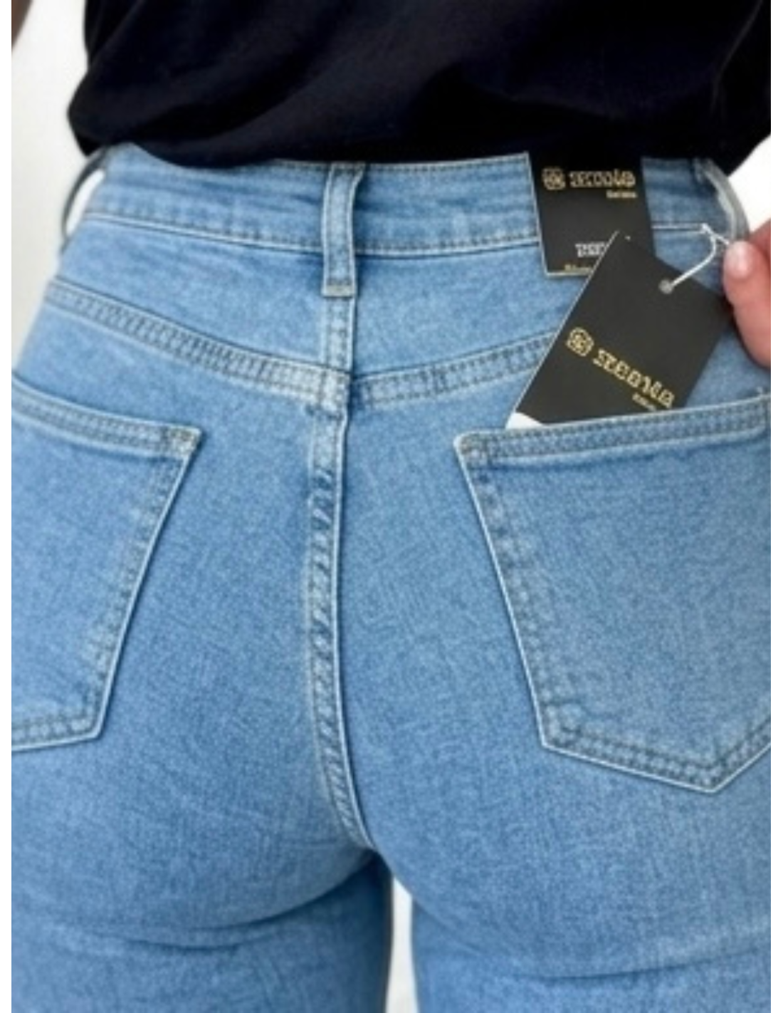 Francis Primavera 2026